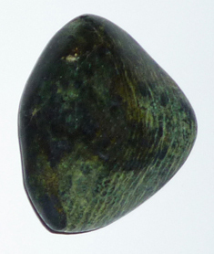 Serpentin-Silberauge TS 6 ca. 2,7 cm breit x 3,3 cm hoch x 1,2 cm dick (13,7 gr.)