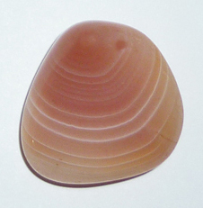 Achat rosa Aprikosen TS 4 ca. 2,5 cm breit x 2,5 cm hoch x 1,4 cm dick (13,1 gr.)