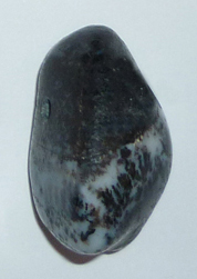 Achat Dendritenachat gebohrt TS 4 ca. 1,9 cm breit x 3,1 cm hoch x 1,9 cm dick (14,0 gr.)