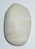 Aragonit weiß TS gebohrt 1 ca. 1,9 cm breit x 3,0 cm hoch x 1,6 cm dick (13,7 gr.)