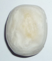 Aragonit weiß TS gebohrt 6 ca. 2,2 cm breit x 2,7 cm hoch x 2,1 cm dick (21,8 gr.)