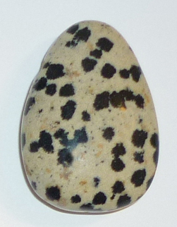 Dalmatiner Stein TS geb. 2 ca. 2,6 cm breit x 3,7 cm hoch x 1,3 cm dick (17,9 gr.)