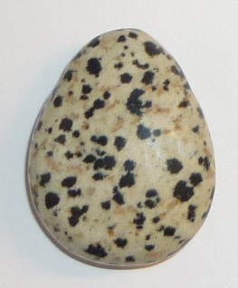 Dalmatiner Stein TS geb. 3 ca. 2,7 cm breit x 3,4 cm hoch x 1,4 cm dick (18,7 gr.)