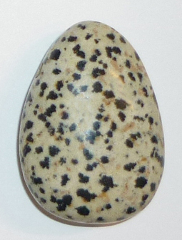 Dalmatiner Stein TS geb. 4 ca. 2,7 cm breit x 3,7 cm hoch x 1,4 cm dick (21,9 gr.)