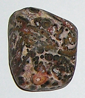 Leopardenstein TS 1 ca. 2,4 cm breit x 2,9 cm hoch x 1,3 cm dick (12,5 gr.)