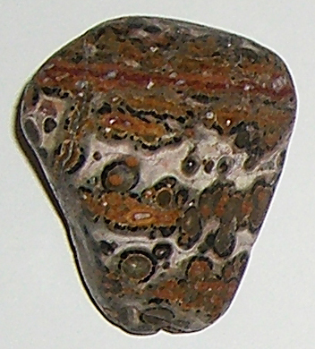 Leopardenstein TS 5 ca. 2,8 cm breit x 3,2 cm hoch x 1,8 cm dick (14,9 gr.)