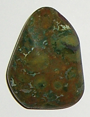 Regenwaldstein TS 01 ca. 2,2 cm breit x 3,0 cm hoch x 1,1 cm dick (9,5 gr.)