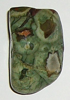 Regenwaldstein TS 05 ca. 2,0 cm breit x 3,0 cm hoch x 1,5 cm dick (12,1 gr.)