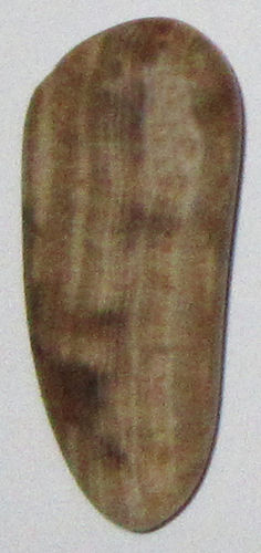Aragonit Calcit Scheiben gebaendert 3 ca. 1,3 cm breit x 2,9 cm hoch x 0,4 cm dick (2,3 gr.)