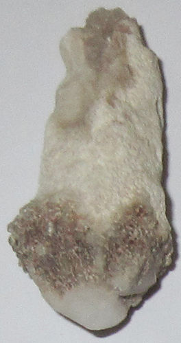 Bergkristall gebohrt Szepterquarz 1 ca. 2,1 cm breit x 5,0 cm hoch x 1,8 cm dick (15,6 gr.)