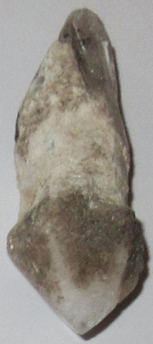Bergkristall gebohrt Szepterquarz 2 ca. 1,9 cm breit x 5,2 cm hoch x 1,8 cm dick (16,9 gr.)