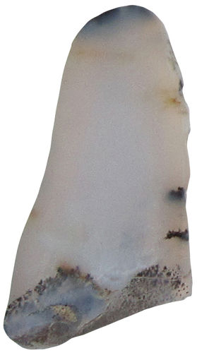 Chalcedon Dendriten TS 3 ca. 2,1 cm breit x 3,6 cm hoch x 0,6 cm dick (9,4 gr.)