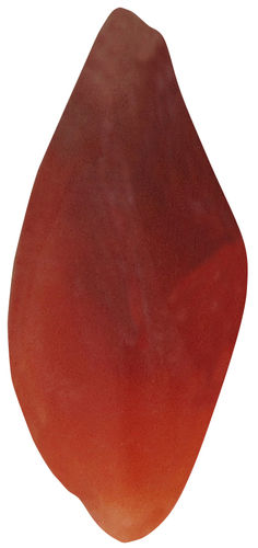 Chalcedon rot TS 3 ca. 2,2 cm breit x 4,8 cm hoch x 1,4 cm dick (15,2 gr.)