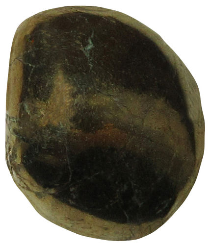 Chalkopyrit TS 4 ca. 2,8 cm breit x 3,3 cm hoch x 1,8 cm dick (38,9 gr.)