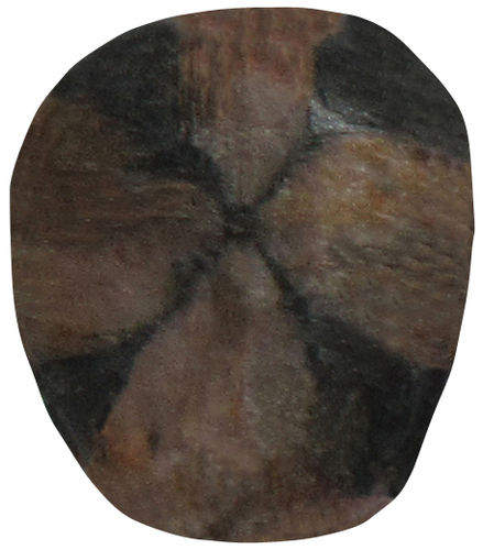 Chiastolith TS 3 ca. 2,5 cm breit x 3,0 cm hoch x 0,9 cm dick (15,1 gr.)