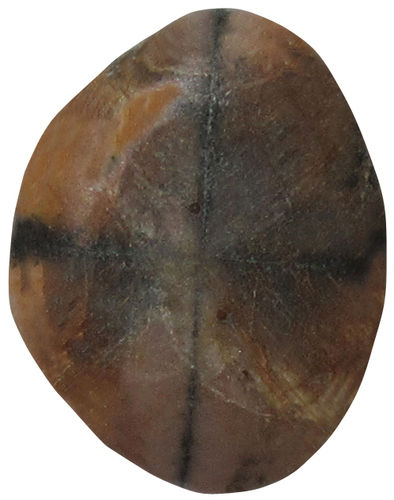 Chiastolith TS 4 ca. 2,8 cm breit x 3,5 cm hoch x 0,9 cm dick (17,9 gr.)