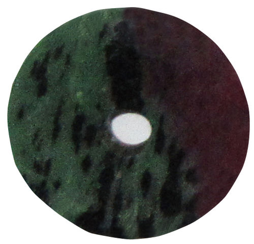Zoisit mit Rubin Donut 3 ca. 3,0 cm Durchmesser x 0,5 cm dick x 0,5 cm Loch-Durchmesser (9,1 g