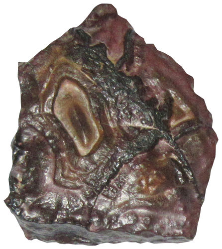 Goethit Knolle 1 ca. 4,1 cm breit x 4,9 cm hoch x 1,8 cm dick (50,7 gr.)