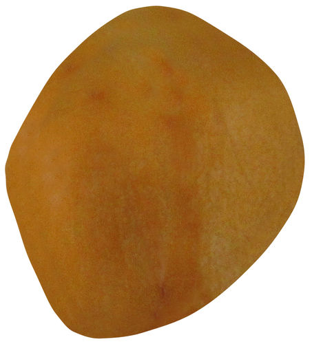 Jaspis gelb gebohrt TS 2 ca. 2,2 cm breit x 2,8 cm hoch x 1,3 cm dick (9,6 gr.)
