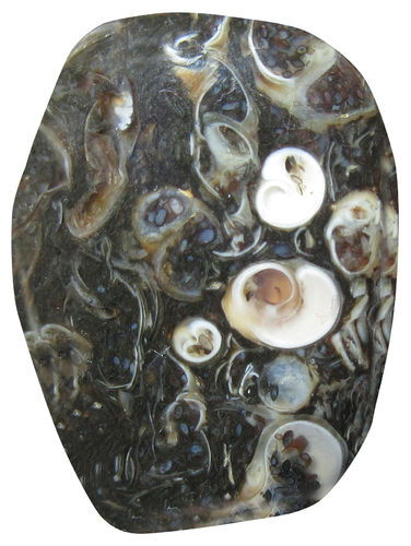 Jaspis Turitella TS 1 ca. 2,1 cm breit x 2,2 cm hoch x 1,9 cm dick (10,9 gr.)