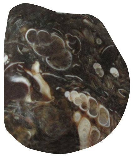 Jaspis Turitella TS 2 ca. 2,2 cm breit x 2,8 cm hoch x 1,5 cm dick (13,3 gr.)