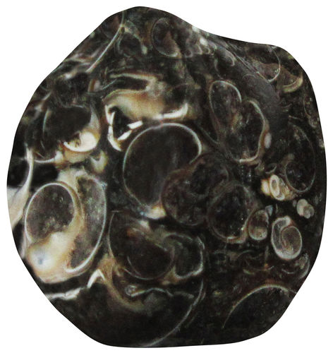 Jaspis Turitella TS 3 ca. 2,7 cm breit x 2,7 cm hoch x 1,7 cm dick (15,1 gr.)