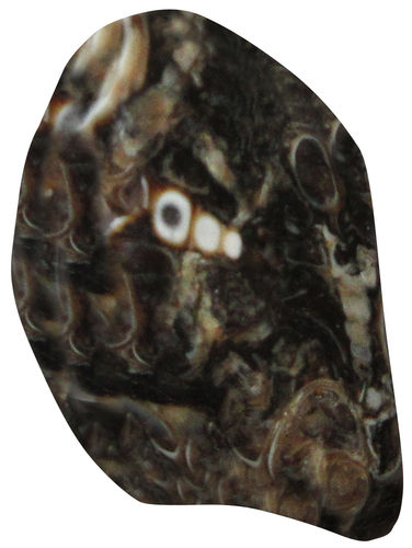 Jaspis Turitella TS 4 ca. 2,0 cm breit x 2,8 cm hoch x 1,7 cm dick (15,2 gr.)