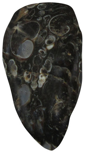 Jaspis Turitella TS 5 ca. 2,1 cm breit x 3,8 cm hoch x 1,6 cm dick (17,0 gr.)