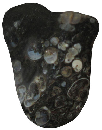 Jaspis Turitella TS 6 ca. 2,6 cm breit x 3,2 cm hoch x 1,9 cm dick (18,0 gr.)