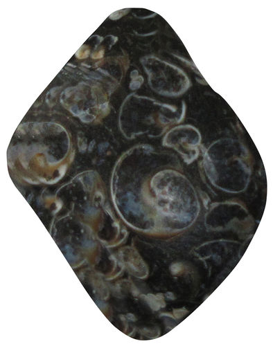Jaspis Turitella gebohrt TS 3 ca. 2,4 cm breit x 3,0 cm hoch x 1,5 cm dick (12,5 gr.)