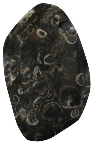 Jaspis Turitella gebohrt TS 4 ca. 2,2 cm breit x 3,5 cm hoch x 1,4 cm dick (15,2 gr.)