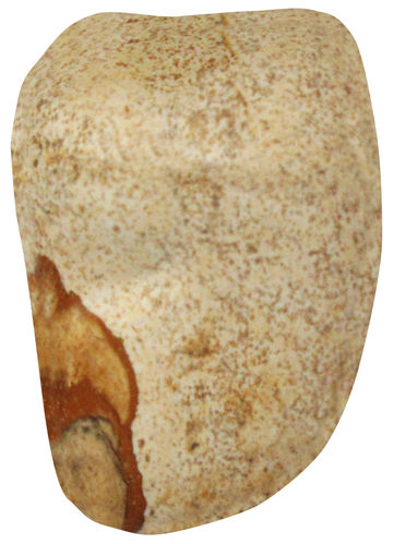 Kalahari Picture Stone TS 6 ca. 2,4 cm breit x 3,6 cm hoch x 2,2 cm dick (25,8 gr.)