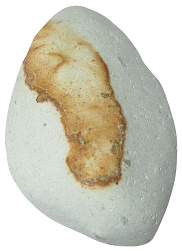 Klinoptilolith gebohrt TS 1 ca. 2,1 cm breit x 3,5 cm hoch x 1,3 cm dick (7,2 gr.)