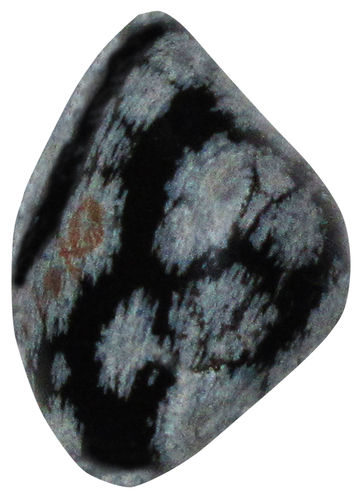 Schneeflockenobsidian TS 3 ca. 2,6 cm breit  x 3,4 cm hoch x 2,0 cm dick (18,2 gr.)