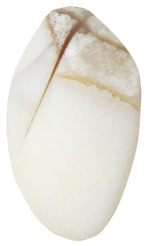 Opal Andenopal farblos TS 3 ca. 2,3 cm breit x 3,5 cm hoch x 1,3 cm dick (10,1 gr.)