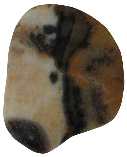 Opal Holz TS 2 ca. 1,9 cm breit x 2,5 cm hoch x 0,8 cm dick (4,1 gr.)