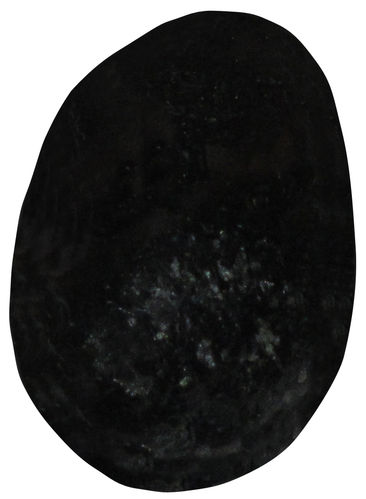 Diopsid schwarz TS 7 ca. 2,2 cm breit x 3,4 cm hoch x 1,4 cm dick (20,7 gr.)