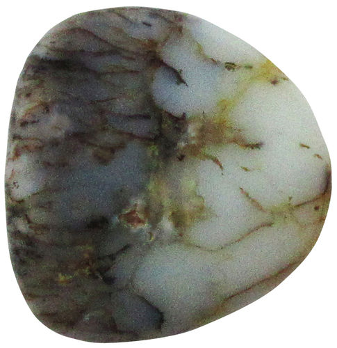 Opal Dendriten TS 2 ca. 2,3 cm breit x 2,5 cm hoch x 0,8 cm dick (5,3 gr.)