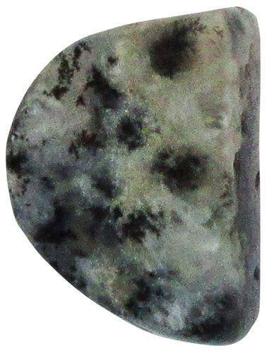 Opal Dendriten TS 3 ca. 1,8 cm breit x 2,5 cm hoch x 1,0 cm dick (7,1 gr.)