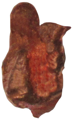 Kupfer Nugget 4 ca. 1,3 cm breit x 2,1 cm hoch x 0,7 cm dick (5,1 gr.)