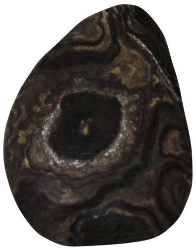 Stromatolith gebohrt TS 1 ca. 2,2 cm breit x 2,9 cm hoch x 0,9 cm dick (9,2 gr.)