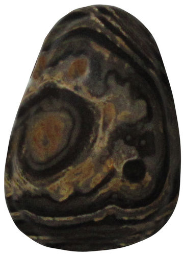 Stromatolith gebohrt TS 2 ca. 1,8 cm breit x 2,6 cm hoch x 1,4 cm dick (10,1 gr.)