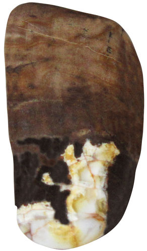 Verst. Holz Peanut Wood TS 03 ca. 1,6 cm breit x 2,8 cm hoch x 1,0 cm dick (5,6 gr.)