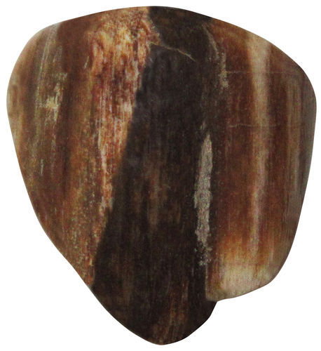 Verst. Holz Peanut Wood TS 08 ca. 3,0 cm breit x 3,1 cm hoch x 1,3 cm dick (16,6 gr.)