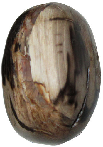 Verst. Holz Peanut Wood TS 11 ca. 2,5 cm breit x 3,3 cm hoch x 2,3 cm dick (25,8 gr.)
