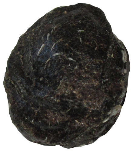 Biotit Linse, klein gebohrt 2 ca. 2,7 cm breit x 3,3 cm hoch x 1,2 cm dick 35,00 (14,6 gr.)